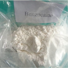 Benzocaína fornecedores