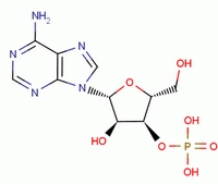 84-21-9 suppliers