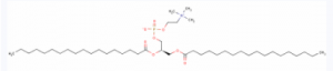 CAS 816-94-4 L-a-Lecithin distearoyl suppliers