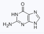 CAS 73-40-5 Guanine suppliers