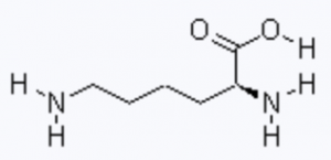 CAS 10098-89-2 L(+)-Lysine monohydrochloride suppliers