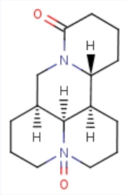 CAS 16837-52-8 Oxymatrine suppliers