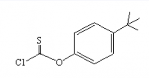 CAS 22857-48-3 4-tert-butylphenyl chlorothioformate suppliers